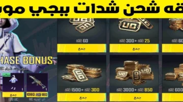 اشحن الآن 18000 + 6300 شدة ببجي موبايل عبر الموقع الرسمي ..أفضل باقة آمنة تمنحك قوة داخل اللعبة بأسعار مميزة